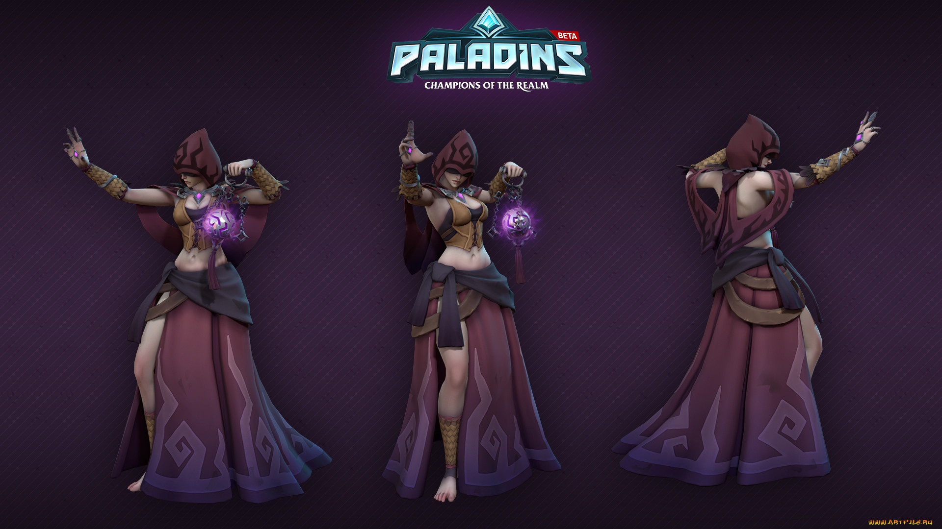  , paladins